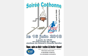 Soirée cochonne